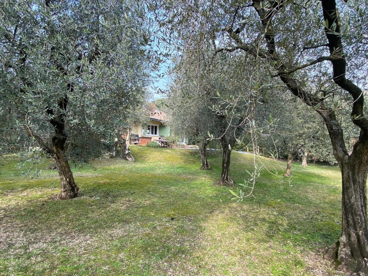 Villa Sweet Flower - With Private Pool And Garden Manerba del Garda Buitenkant foto