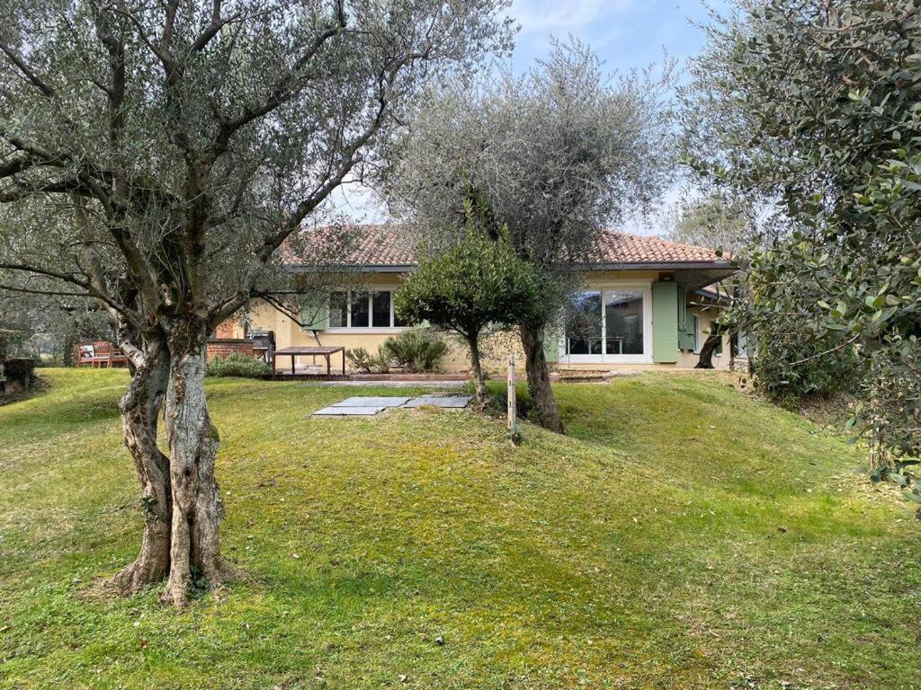 Villa Sweet Flower - With Private Pool And Garden Manerba del Garda Buitenkant foto